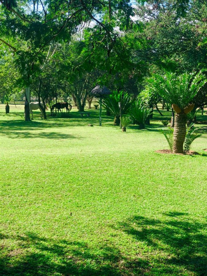 Jock Of The Bushveld Hotell Barberton Exteriör bild